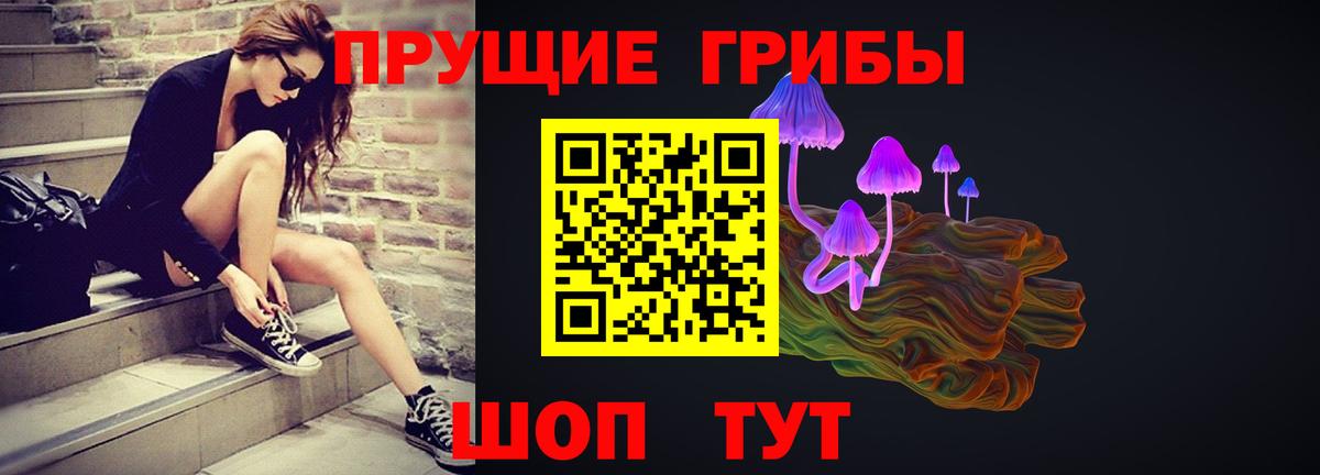 Псилоцибиновые грибы мухоморы  Псилоцибиновые грибы Cubensis  Вход с VPN  Сегежа 