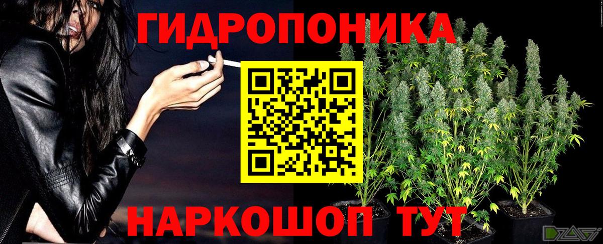 Шишки марихуана OG Kush Сегежа